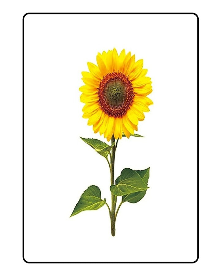 New Sunflower Temporary Tattoo