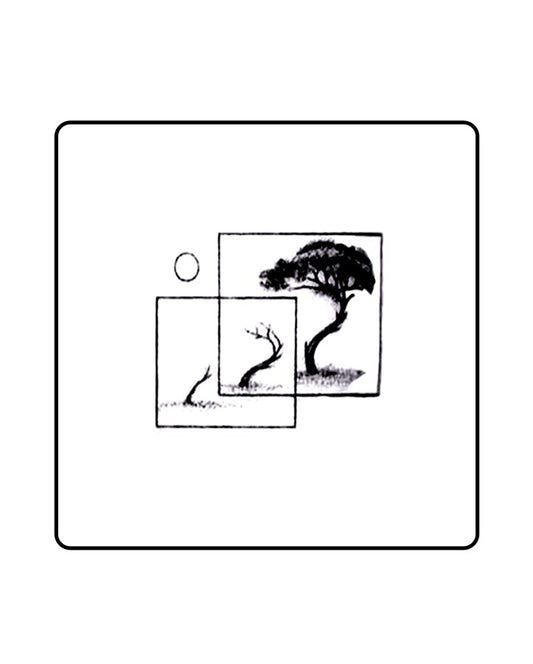 Tree Evolution Temporary Tattoo